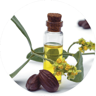 Icono Aceite de jojoba